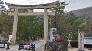 �g���ÕF�_�� ����