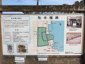 ��{�� �ē���