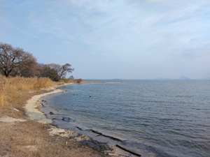 ��{�� ���i��