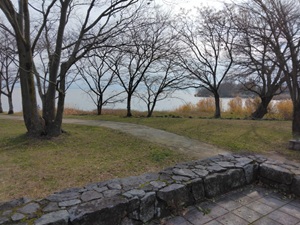 ��{�����