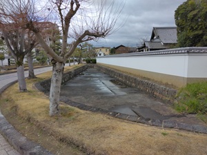 ��a�S�R�� �O�x